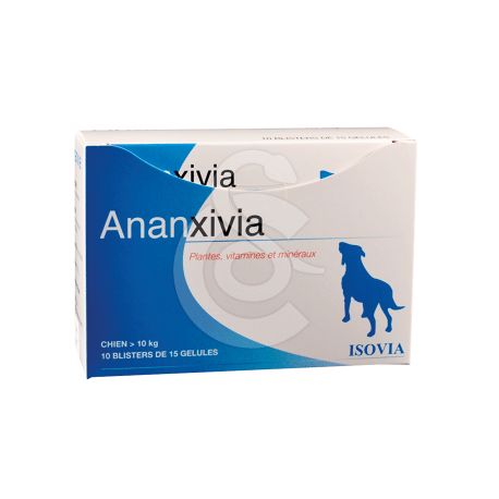 Ananxivia Grand Chien