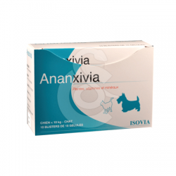 Ananxivia Grand Chien