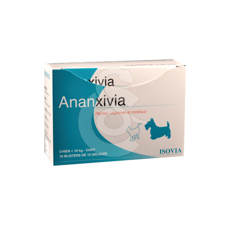 Ananxivia Grand Chien