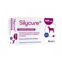 Silycure 160mg