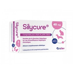 Silycure 160mg