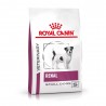 Dog Renal