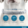 SERESTO Collier Grand Chien (plus de 8 Kg)