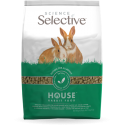 Selective House Rabbit