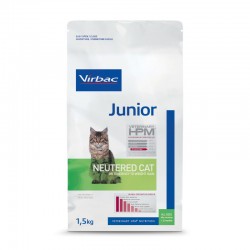 Junior Neutered Cat