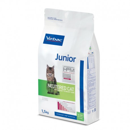 Junior Neutered Cat