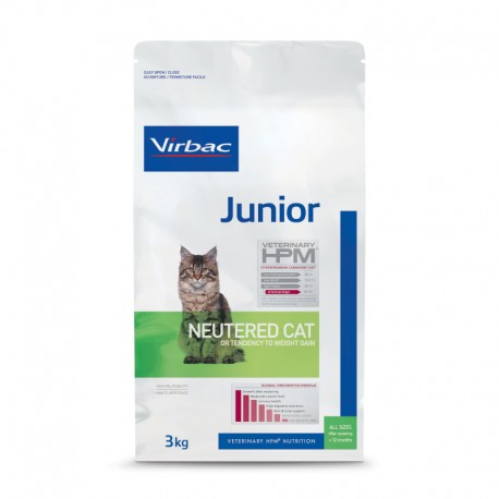 Junior Neutered Cat