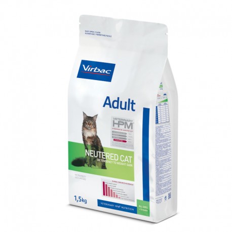 Adult Neutered Cat