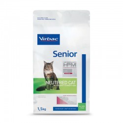 Senior Neutered Cat