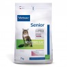 Senior Neutered Cat