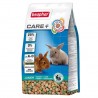 Care Lapin