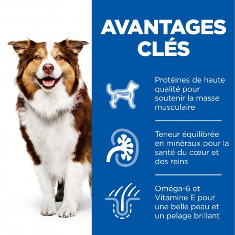 Canine Mature Medium Poulet