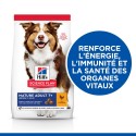 Canine Mature Medium Poulet