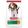 Canine Puppy Healthy Development Medium Poulet