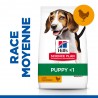 Canine Puppy Healthy Development Medium Poulet