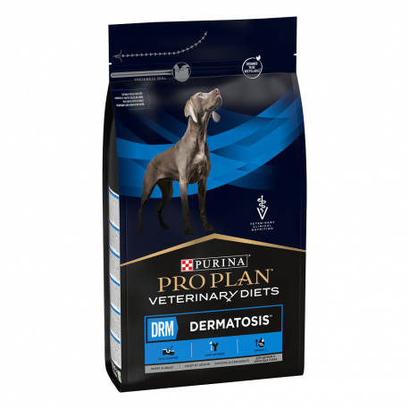 Canine DRM Dermatosis