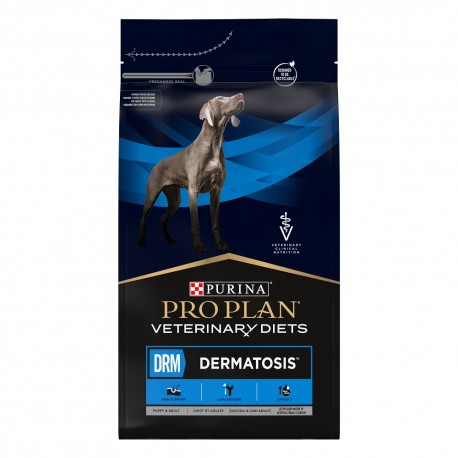 Canine DRM Dermatosis