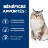 Chat j/d Mobility au Poulet