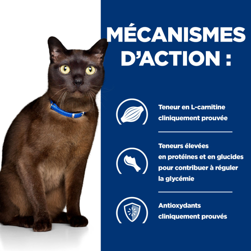 Chat m/d Diabetes Care au Poulet