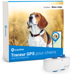 Collier GPS pour chien -...