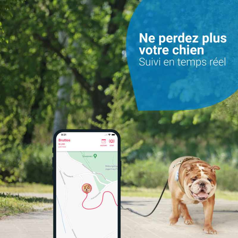 Dog-Tracker : Gardez un Oeil sur Votre Chien en Toute Sécurité