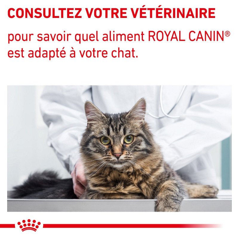 Cat Mature Consult Balance en Mousse