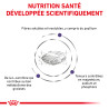 Cat Neutered Satiety Balance