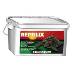 Reptilix Tortues