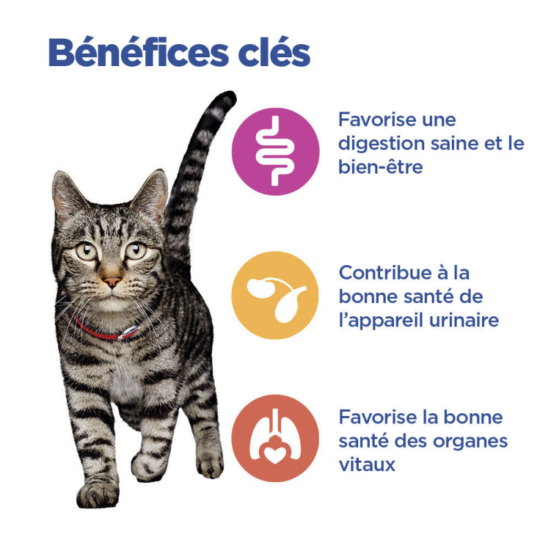 Chat Multi-Benefit Mature Poulet en Sauce