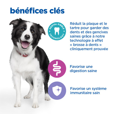 Chien Multi-Benefit + Dental