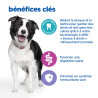 Chien Multi-Benefit + Dental