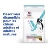 Chien Multi-Benefit + Dental