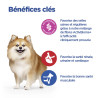 Chien Multi-Benefit + Digestion Adult Small & Mini