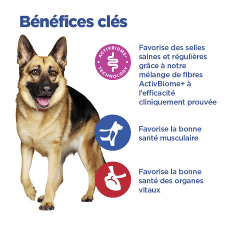 Chien Multi-Benefit + Digestion Adult Large Breed