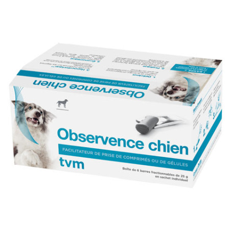 Observence Chien