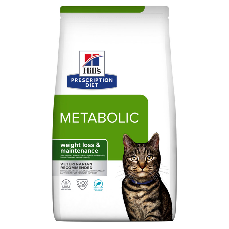 Chat Metabolic au Thon