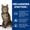 Chat Metabolic au Thon