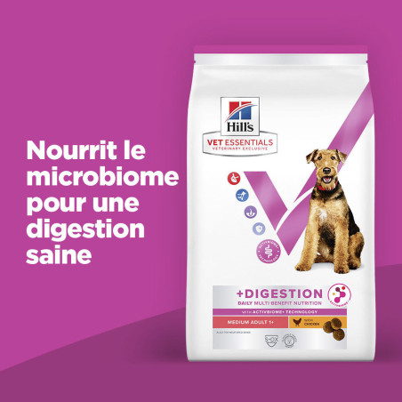 Chien Multi-Benefit