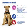 Chien Multi-Benefit