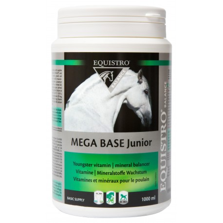 Equistro Mega Base Junior