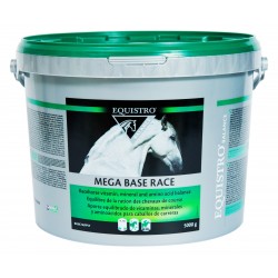 Equistro Mega Base Race