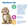 Chien Multi-Benefit