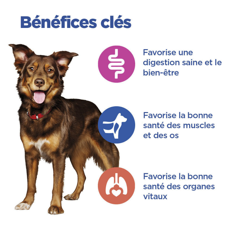 Chien Multi-Benefit Adult Medium Agneau-Riz