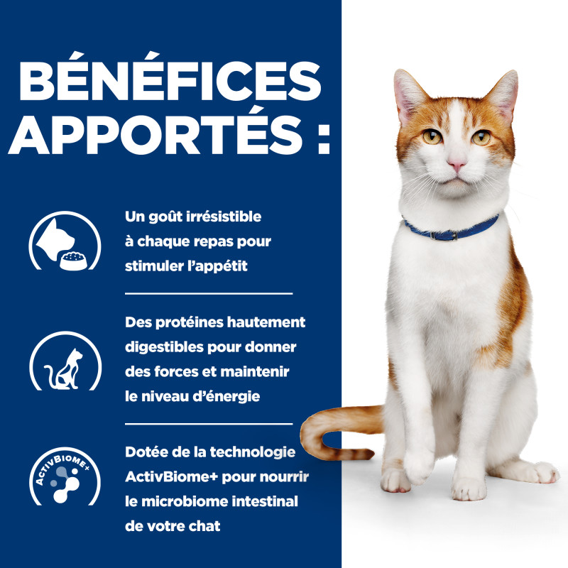 Chat On-Care au Poulet