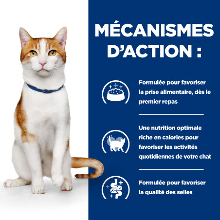 Chat On-Care au Poulet