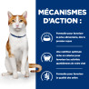 Chat On-Care au Poulet