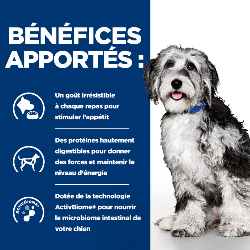 Chien On-Care au Poulet