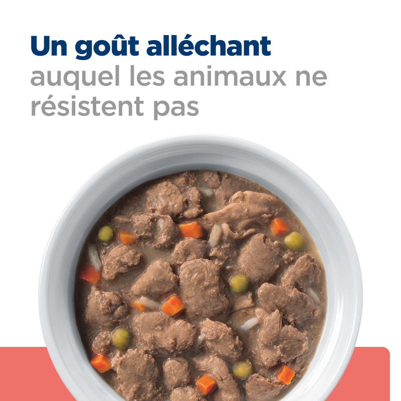 Chien On-Care Mijotés au Poulet