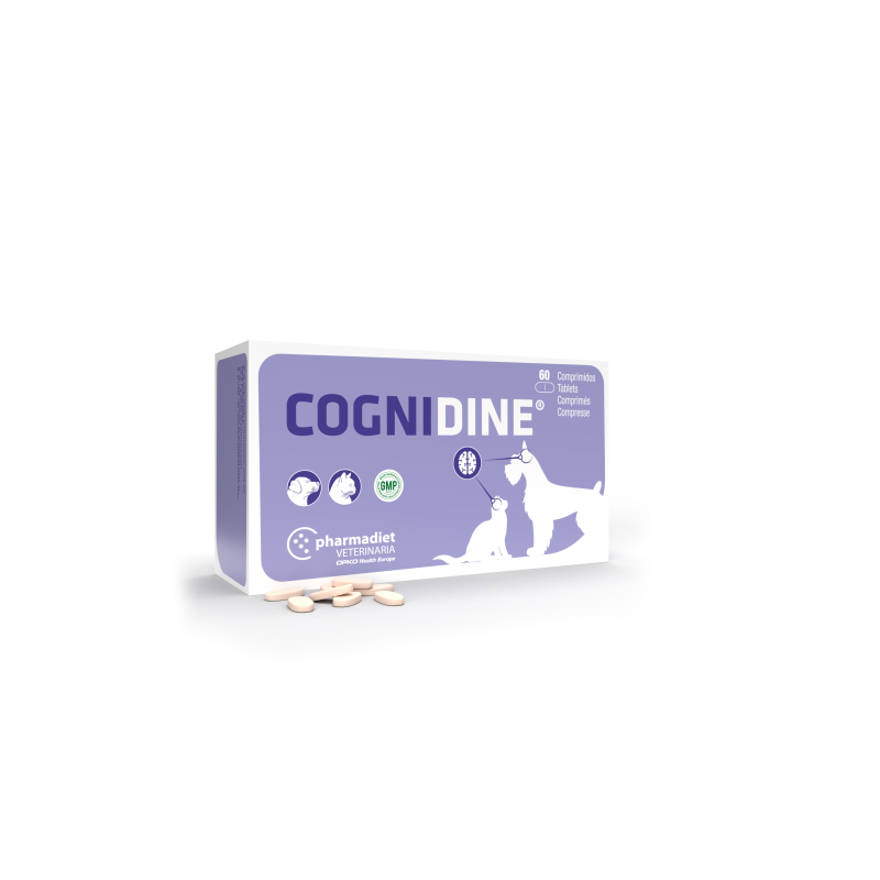 Cognidine