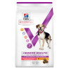 Chien Multi-Benefit + Senior Health Medium & Large